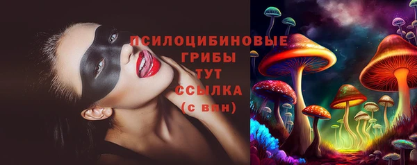хмурый Нея