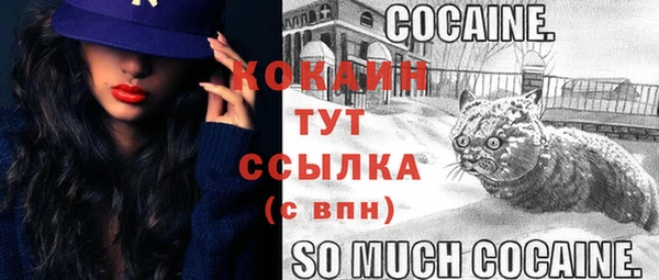 гашик Новозыбков