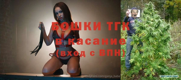 хмурый Нея