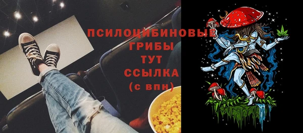 хмурый Нея