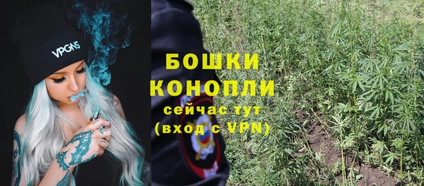 хмурый Нея
