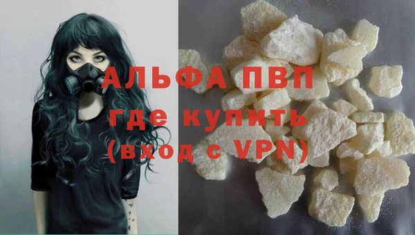 хмурый Нея