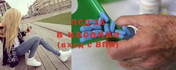 гашик Новозыбков