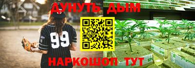 сатива Ирбит