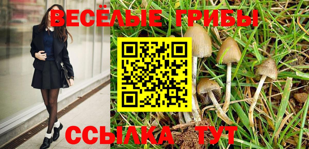 Галлюциногенные грибы Psilocybine cubensis  купить наркоту  Рассказово  Вход с VPN 