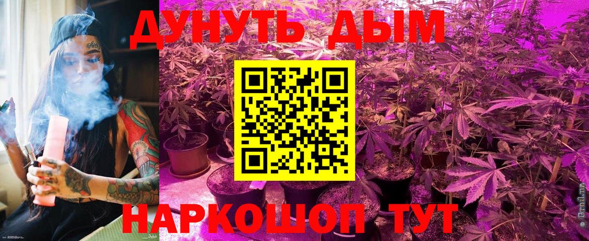 Канабис конопля Рассказово
